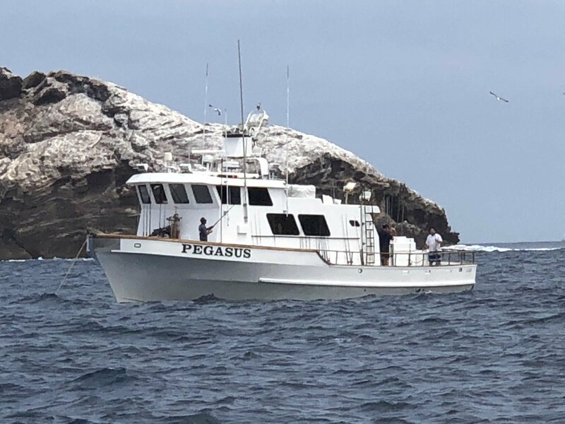 Magdalena Bay